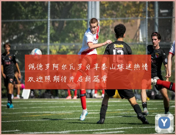 佩德罗阿尔瓦罗分享泰山球迷热情欢迎照期待开启新篇章