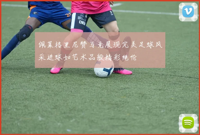 佩莱格里尼赞马竞展现完美足球风采进球如艺术品般精彩绝伦