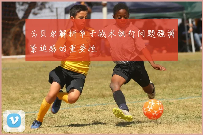 戈贝尔解析华子战术执行问题强调紧迫感的重要性