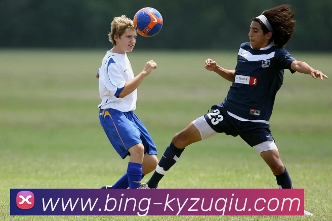 开云足球平台生态图